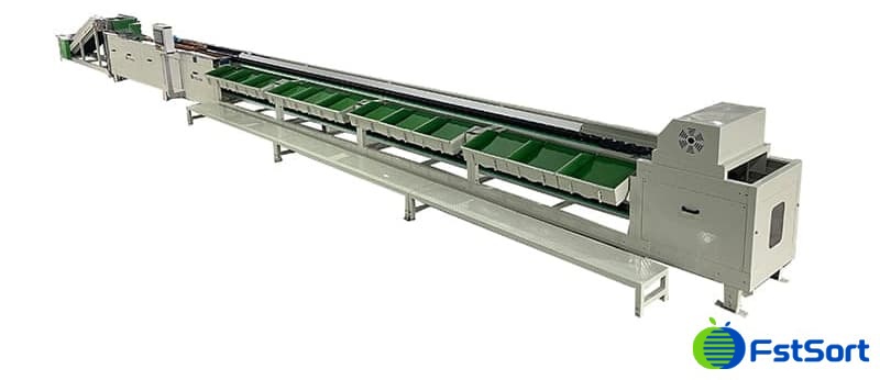 images/1739179030744máquina clasificadora de melocotones.jpg